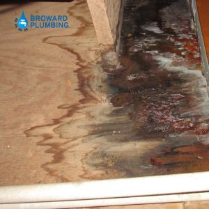 water leak detection Boca Raton